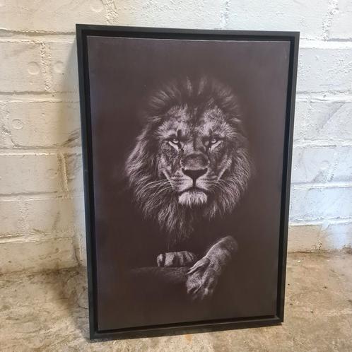 Schilderij leeuw, Antiek en Kunst, Kunst | Schilderijen | Modern, Verzenden
