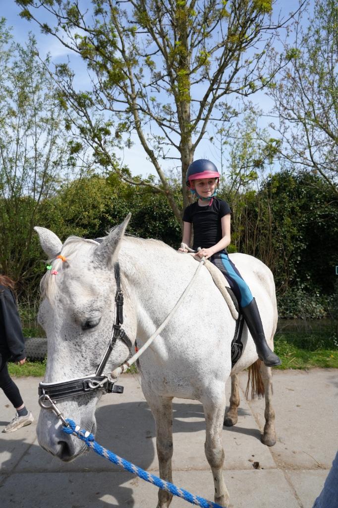 Ponykamp Veluwe, Dieren en Toebehoren, Paarden en Pony's | Verzorgingsproducten, Ophalen of Verzenden