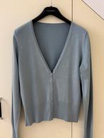 Heel mooi vest maat 40, Kleding | Dames, Tops, Ophalen of Verzenden, Zo goed als nieuw, Maat 38/40 (M), Lange mouw