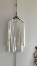 Freequent vest, Kleding | Dames, Freequent, Ophalen of Verzenden, Nieuw, Maat 38/40 (M)
