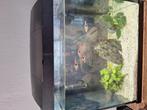Aquarium, Dieren en Toebehoren, Ophalen of Verzenden, Zo goed als nieuw, Grind, Zand of Voedingsbodem