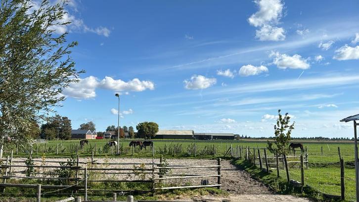 Stalling aangeboden obdam, Dieren en Toebehoren, Stalling en Weidegang, Stalling, 1 paard of pony