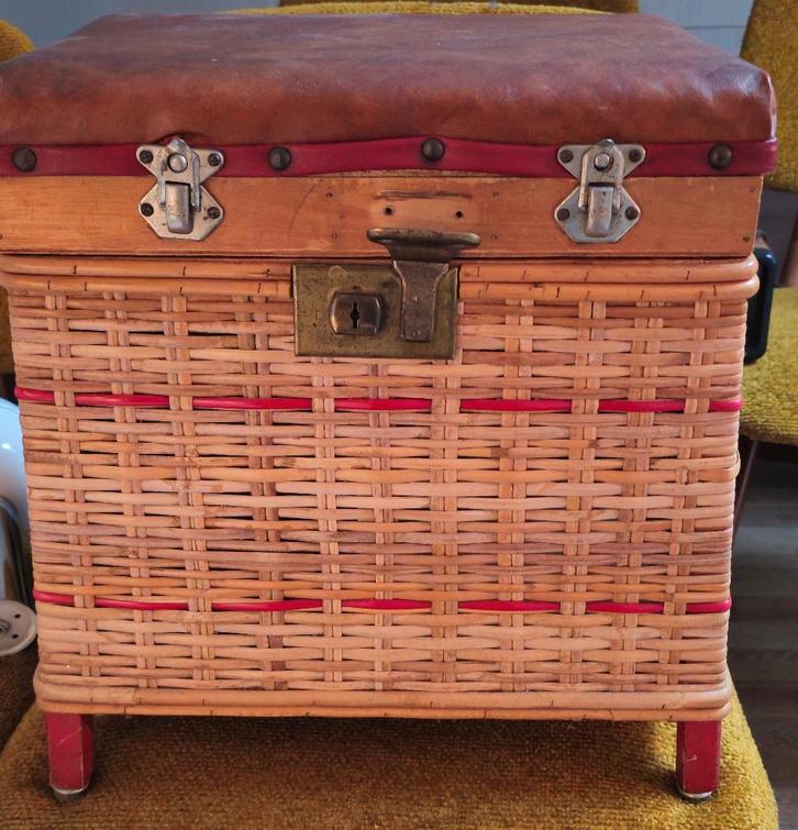 Vintage viskoffer, Watersport en Boten, Hengelsport | Algemeen, Gebruikt, Koffer of Tas, Ophalen of Verzenden