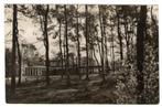 Ansichtkaart Oldebroek Jeugdherberg N.B.A.S., Verzenden, 1940 tot 1960, Ongelopen, Gelderland
