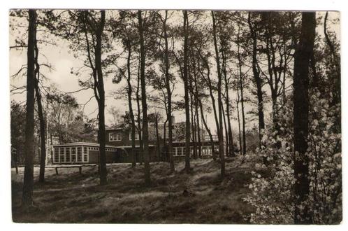 Ansichtkaart Oldebroek Jeugdherberg N.B.A.S., Verzamelen, Ansichtkaarten | Nederland, Ongelopen, Gelderland, 1940 tot 1960, Verzenden