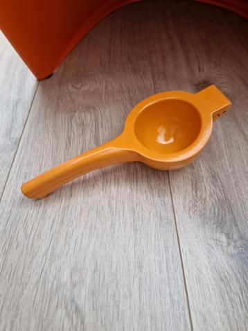 Citruspers sinaasappel pers direct in glas beschikbaar voor biedingen