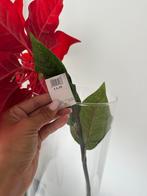 Kunstbloemen 2 x, Ophalen of Verzenden, Nieuw