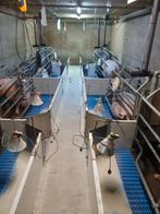 8 Kraamhokken Varkenshouderij - Bovenbouw