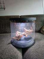 Rond kunstof terrarium 34x32, Ophalen, Gebruikt