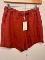 Nieuw Hartford dames stefi short XL, Kleding | Dames, Kort, Verzenden, Maat 46/48 (XL) of groter, Nieuw