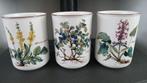 Villeroy & Boch Botanica Voorraadpotten, Verzamelen, Porselein, Kristal en Bestek, Overige typen, Ophalen of Verzenden, Zo goed als nieuw