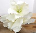 AMARYLLIS - KUNST TAK - 3 KLEUREN, Huis en Inrichting, Woonaccessoires | Kunstplanten en Kunstbloemen, Ophalen of Verzenden, Nieuw