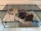 Ruime knaagdieren kooi, Kooi, Hamster, 75 tot 110 cm, Ophalen