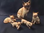 5 porseleinen Siamese poesen, puntgaaf., Antiek en Kunst, Ophalen of Verzenden