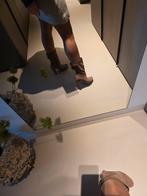 Unisa, Ophalen of Verzenden, Zo goed als nieuw, Beige