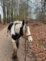 Verzorger gezocht, Ophalen of Verzenden