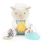 Activiteiten knuffel Schaap NIEUW, Ophalen of Verzenden, Nieuw, Overige typen