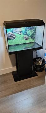 Juwel Primo 60 LED aquarium met standaard, Dieren en Toebehoren, Vissen | Aquaria en Toebehoren, Ophalen, Gebruikt, Leeg aquarium