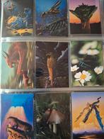 Complete set Tim White Fantasy Art TCG, Ophalen of Verzenden, Zo goed als nieuw