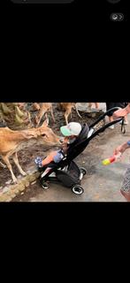 Bugaboo ant, Ophalen of Verzenden, Gebruikt, Regenhoes