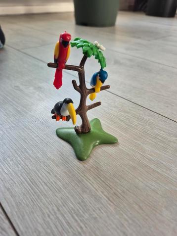 Playmobil 6653 tropical birds tropische vogels compleet  beschikbaar voor biedingen