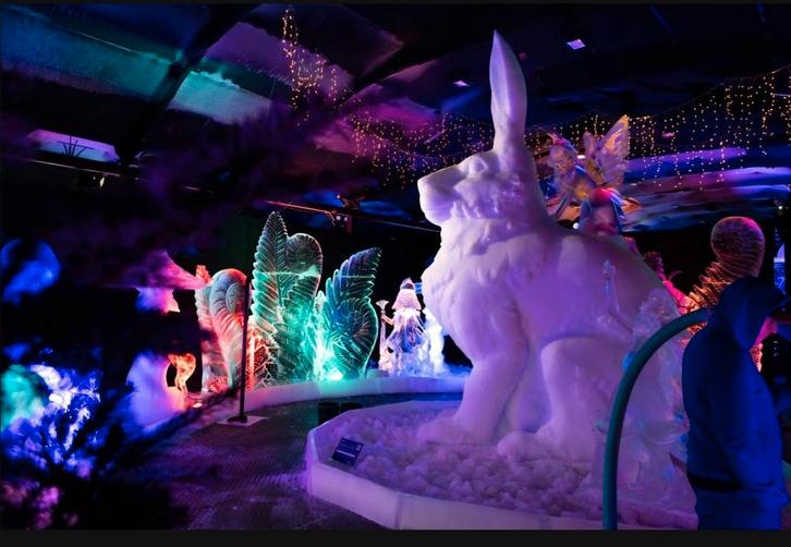 Met korting naar IJsbeelden festival Biddinghuizen, Tickets en Kaartjes, Evenementen en Festivals, Drie personen of meer