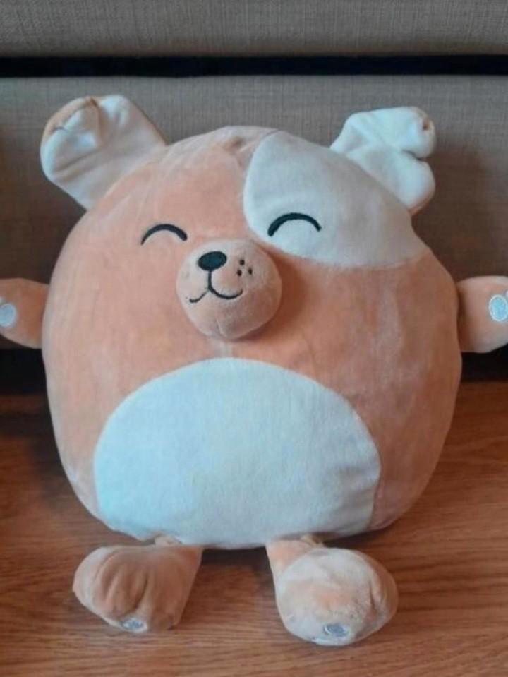 Zachte knuffel hond kussentje ZGAN, Kinderen en Baby's, Speelgoed | Knuffels en Pluche, Zo goed als nieuw, Hond, Ophalen of Verzenden