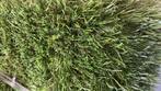 Kunstgras 2 x 2.   35mm, Ophalen, Nieuw, Minder dan 10 m², Kunstgras