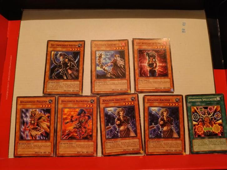 Yu-Gi-Oh! Amazoness Kaarten Set, Hobby en Vrije tijd, Verzamelkaartspellen | Yu-gi-Oh!, Gebruikt, Meerdere kaarten, Ophalen