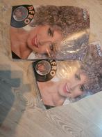 2x Grijze Krullen Pruik -, Ophalen of Verzenden, Zo goed als nieuw, Jongen of Meisje