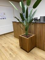 Plantenbakken voor binnen en buiten, Tuin en Terras, Ophalen, Hout, Binnen