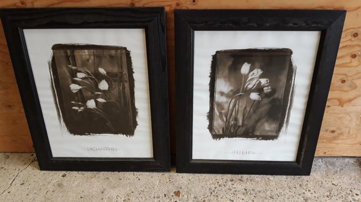 Twee ingelijste tulp en lycianthes platen, Antiek en Kunst, Kunst | Tekeningen en Foto's, Ophalen of Verzenden