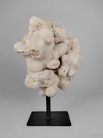 Calciet op standaard, Ophalen of Verzenden, Mineraal