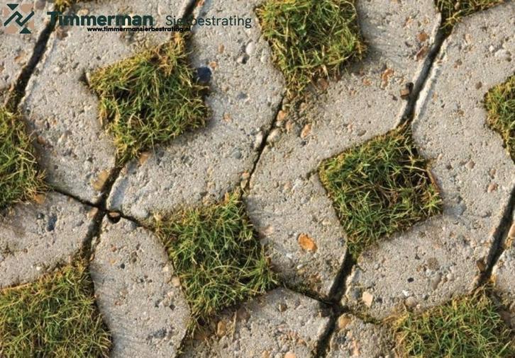 Grasbetontegels 60x40x12, vlakke bovenzijde, rondom hol-dol, Tuin en Terras, Tegels en Klinkers, Nieuw, Overige typen, Beton, Ophalen of Verzenden