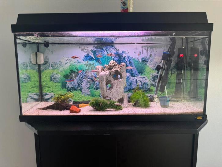 Aquarium te koopcompleet ingericht met filter en accessoires, Dieren en Toebehoren, Vissen | Aquaria en Toebehoren, Nieuw, Gevuld zoetwateraquarium