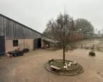 10 stallen voor paard en pony’s te huur, Dieren en Toebehoren, Stalling en Weidegang