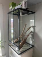 RepTech Standaard Terrarium (Nieuw Design), Dieren en Toebehoren, Reptielen en Amfibieën | Toebehoren, Ophalen, Nieuw, Terrarium of Paludarium