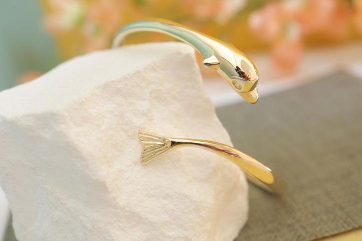 14 Karaat Gouden Armband | Dolfijn, Sieraden, Tassen en Uiterlijk, Armbanden, Zo goed als nieuw, Goud, Goud, Ophalen of Verzenden