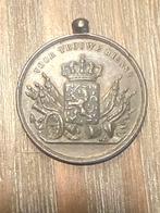 Oude medaille 'Voor Trouwe Dienst', Ophalen of Verzenden, Gebruikt, Overige onderwerpen, Speldje of Pin