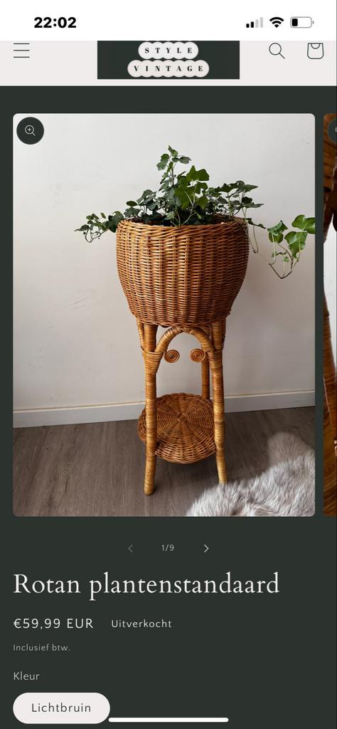 Rotan Plantenstandaard, Huis en Inrichting, Kamerplanten, Overige soorten, Minder dan 100 cm, Groene kamerplant, Halfschaduw, In pot