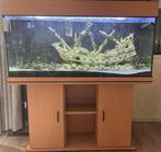 Nette aquarium, Ophalen, Gebruikt, Leeg aquarium