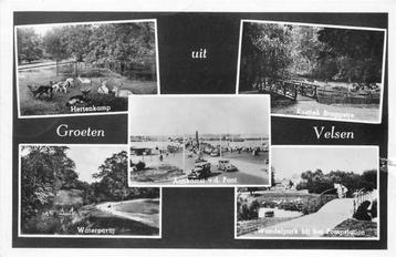 (300-438-031) Velsen Groeten uit beschikbaar voor biedingen