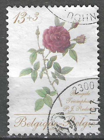 Belgie 1988 - Yvert/OBP 2280 - Rozen van Redoute (ST) beschikbaar voor biedingen
