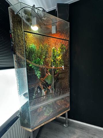 Groot terrarium beschikbaar voor biedingen