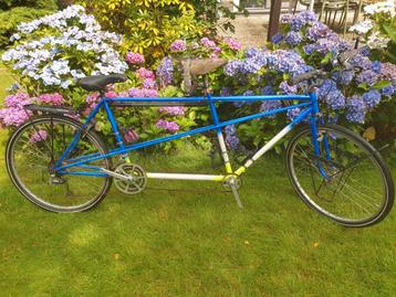 Tandem off road model beschikbaar voor biedingen