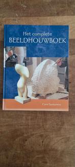 Het Complete Beeldhouwboek - Camí Santamera, Boeken, Ophalen of Verzenden, Gelezen, Beeldhouwkunst, Camí Santamera