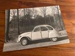 Citroen 2CV originele persfoto Autorai, Ophalen of Verzenden, Gelezen, Citroën
