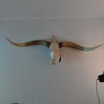 Longhoorn skull. Imitatie, Ophalen, Zo goed als nieuw