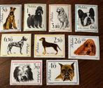 Polen 1963 Postzegels - Honden Thema - Ongebruikt, Ophalen of Verzenden, Polen, Postfris