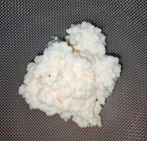 melk kefir korrels vers., Diversen, Levensmiddelen, Ophalen